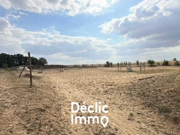 Propriété équestre 1 pièce 