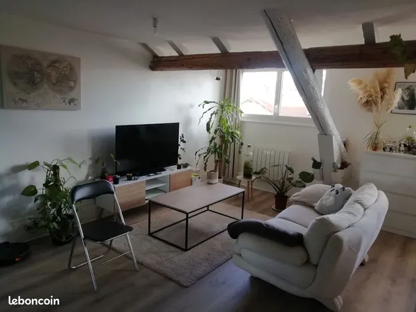 Joli F1 meublé avenue de la loge blanche 