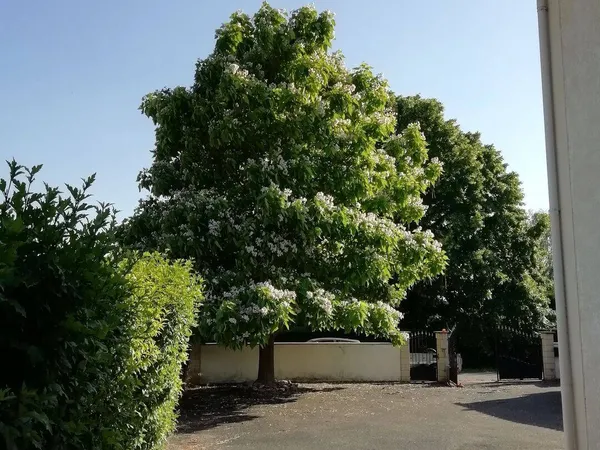 Maison 7 pièces 142 m² 