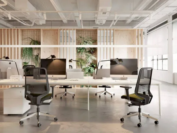 Bureaux 250 m² 