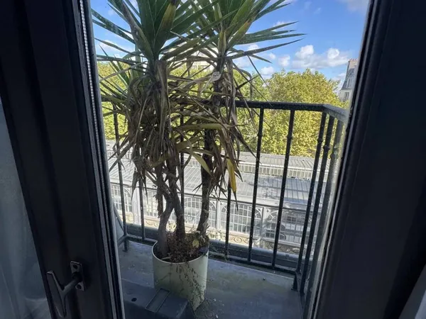Appartement 3 pièces 51 m² 