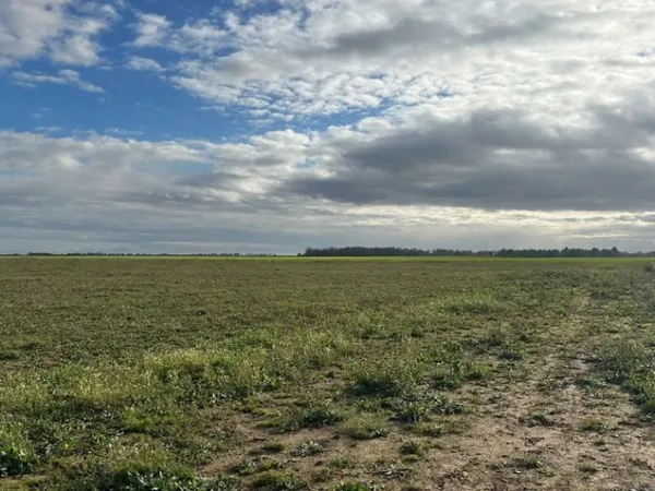 Terrain 445 m² 