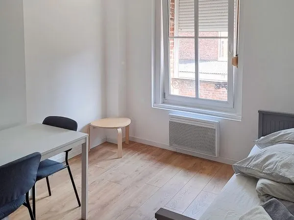 Grand studio meublé rénové 