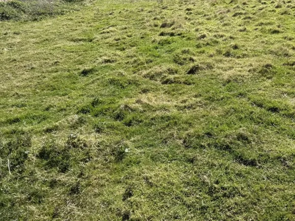 Terrain 654 m² 