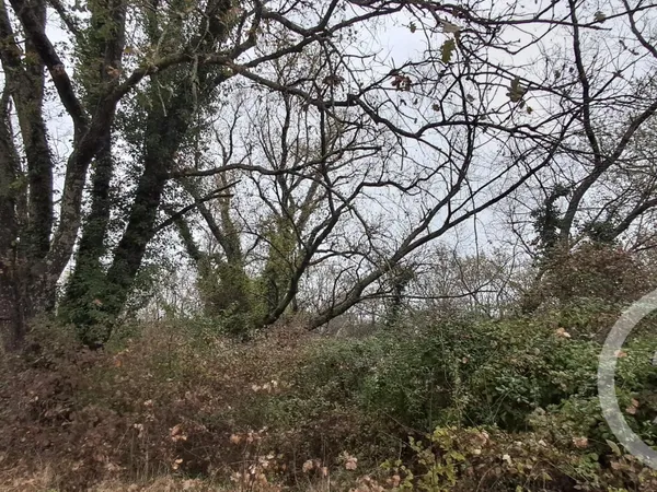 Terrain 2618 m² 