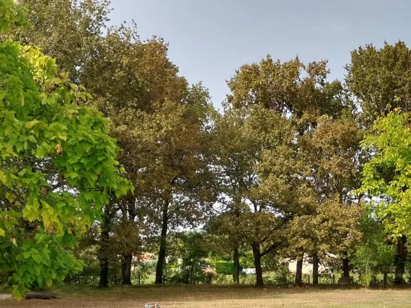 Terrain 920 m² 