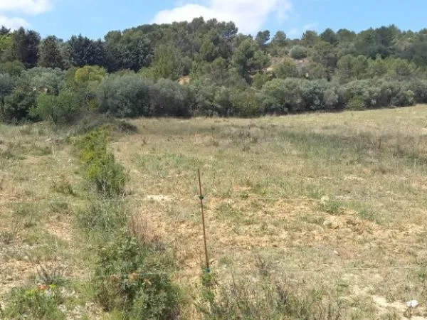 Terrain 426 m² 