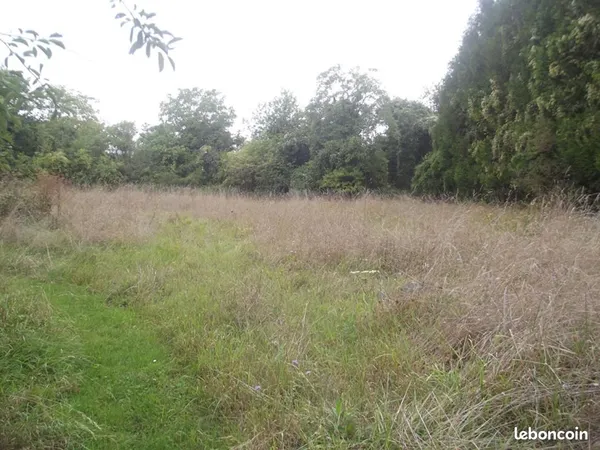 Terrain 2 800 m² Chavanges 