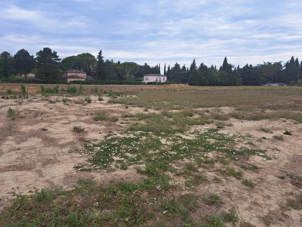 Terrain 730 m²