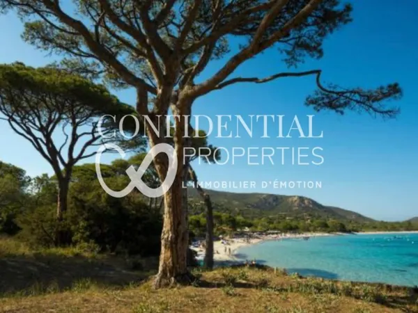 Pied dans l'eau, au calme - 83350 RAMATUELLE 