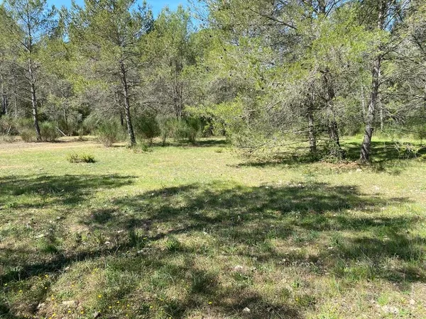 Terrain 1200 m² 