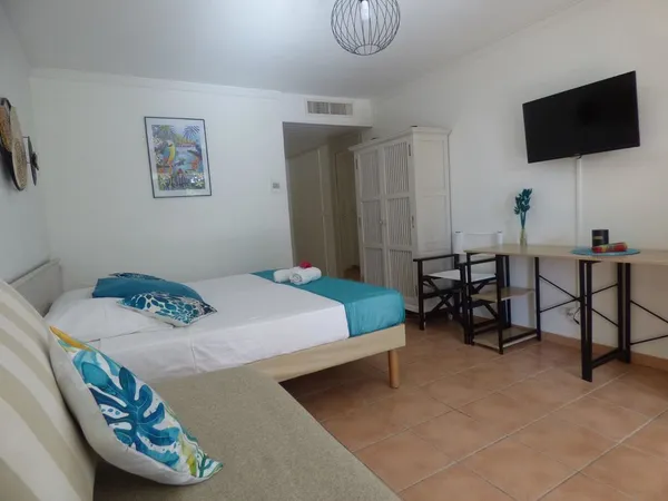Appartement 1 pièce 