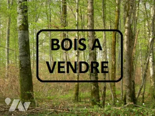 Bien agricole 85632 m² 