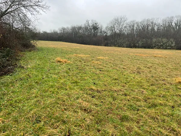 Terrain 5966 m² 
