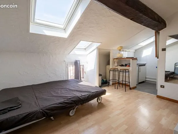 Appartement 1 pièce 19 m² 
