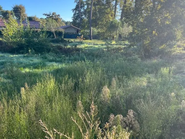 Terrain 1000 m² 