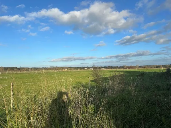 Terrain 8000 m² 