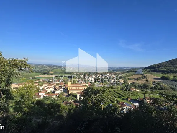 Terrain 3200 m² Saint-Romain-de-Popey 