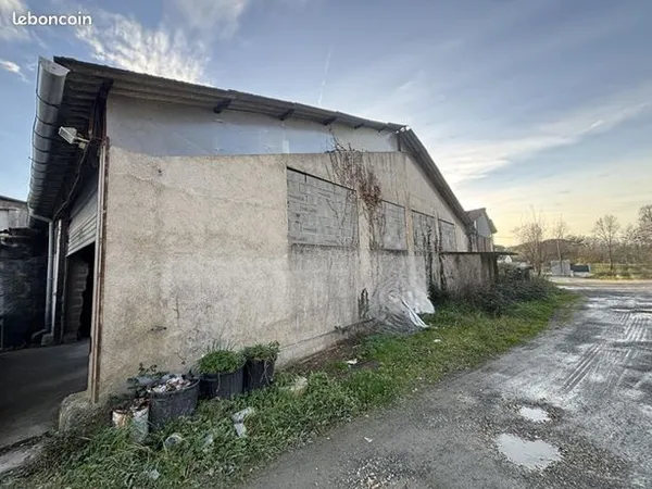 Local commercial 438 m² 