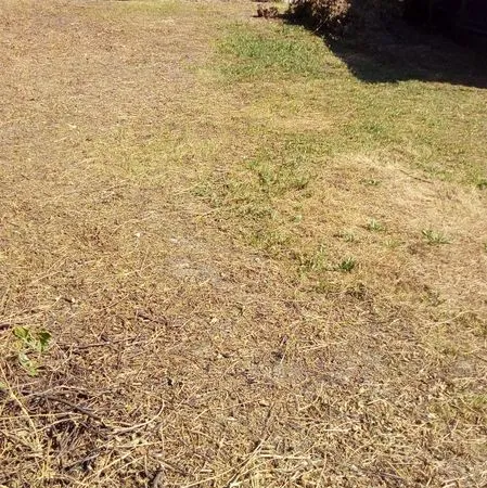 Terrain commune d'Etable 