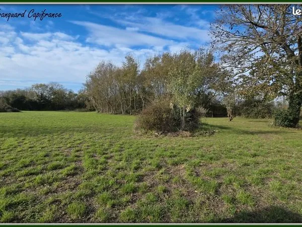 Terrain 3 741 m² Nachamps 