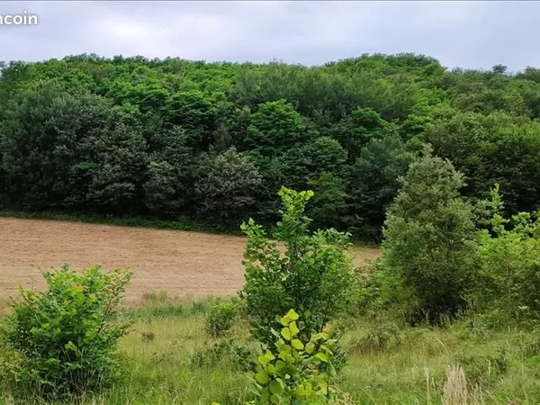 Terrain 1 382 m² Trelissac 