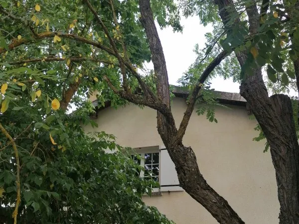Maison 10 pièces 465 m²