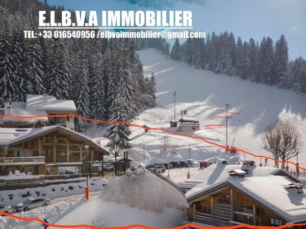 Vends hôtel restaurant 4 étoiles et ses chalets de luxe 