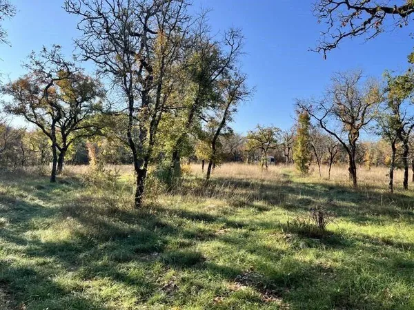Terrain 20000 m² 