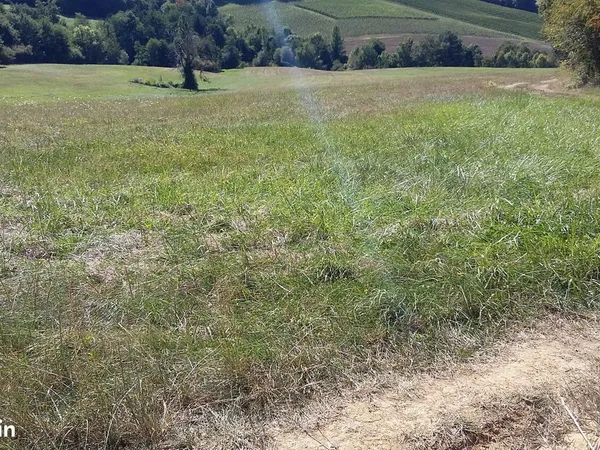 Terrain Agricole 