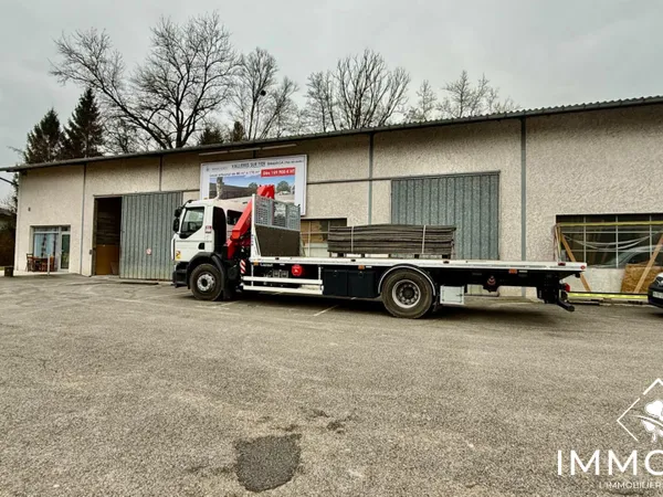 Local d'activité Rumilly 74.36 m2 