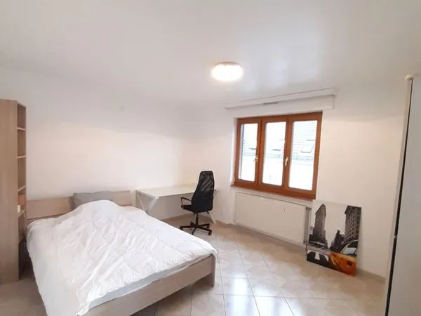 Chambre lumineuse 15m2 Mulhouse centre 