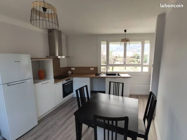 Grand Appartement rénové 