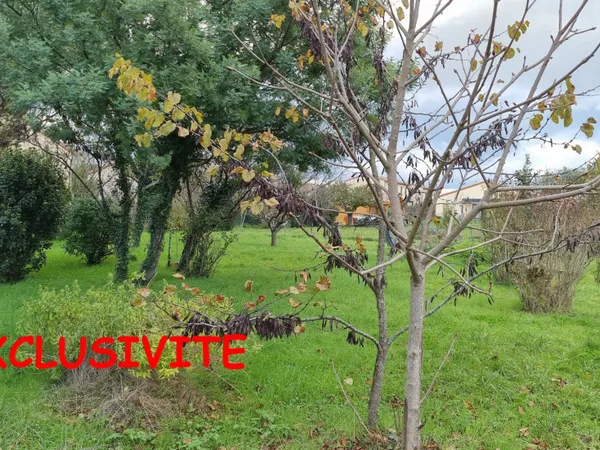 Terrain diffus 600 m² 