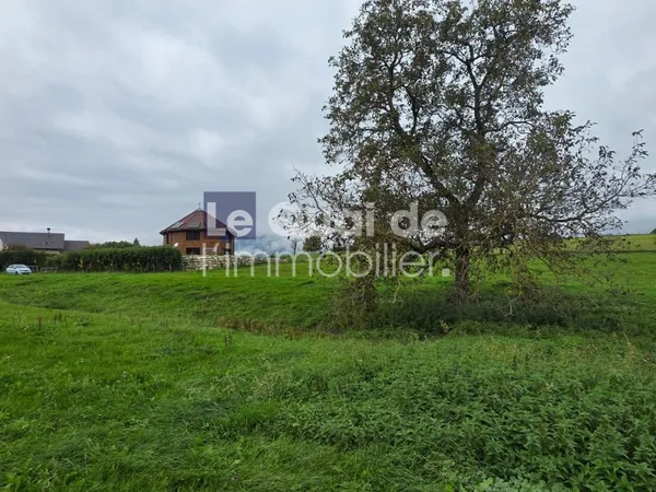 VENTE d'un terrain (946 m²) à Hauteville 