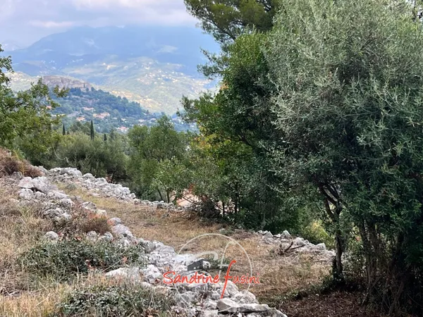 TERRAIN 1238 m2 