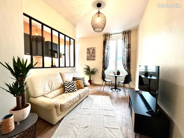 Appartement rénové, F2 40m2 hypercentre meublé tout confort 
