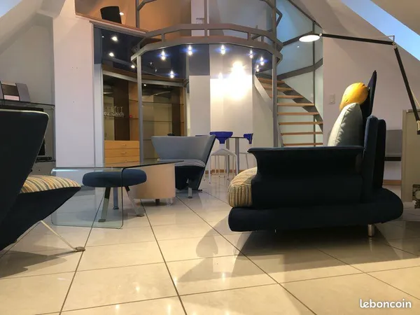 Magnifique duplex très lumineux 