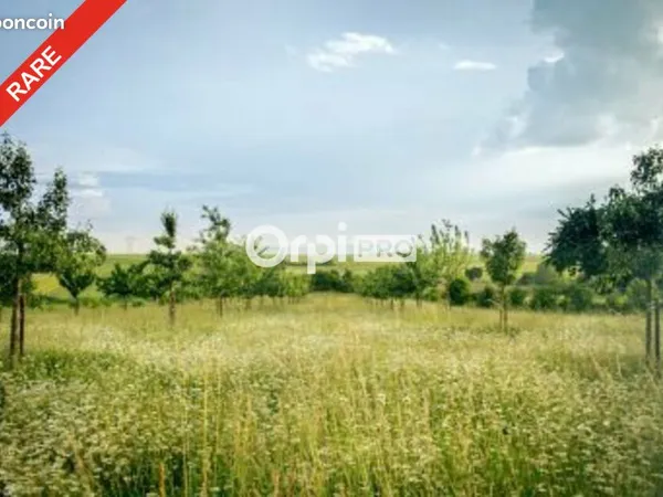 Terrain 16 035 m² Frontenaud 