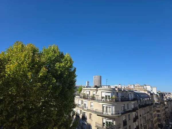 PARIS XVI - AVENUE FOCH 