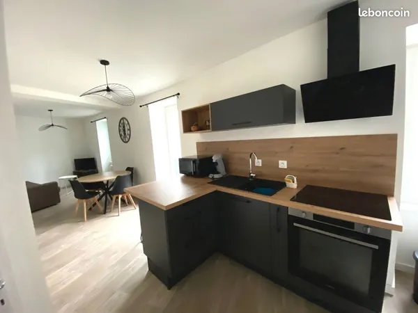 Appartement meublé - 40 m² - Refait à neuf - Centre d'Annonay 