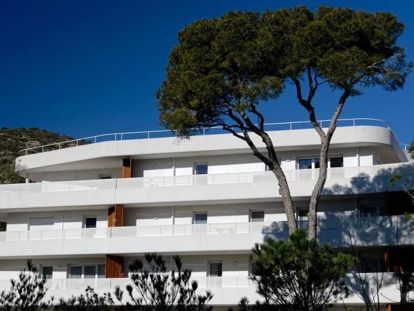 Appartement T3 
