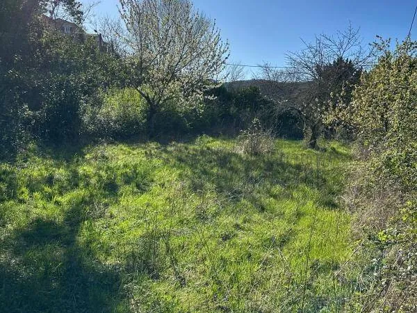 Terrain 733 m² 