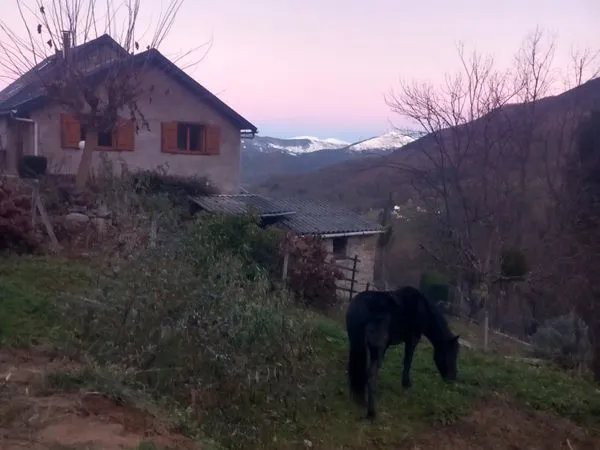 Location maisonnette 