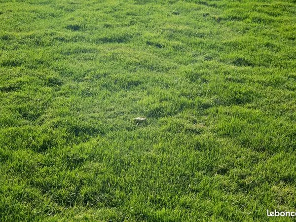 Terrain 250 m² 