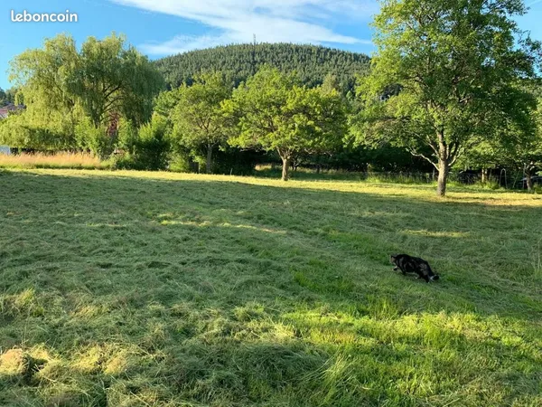 Terrain constructible 1038 m² 