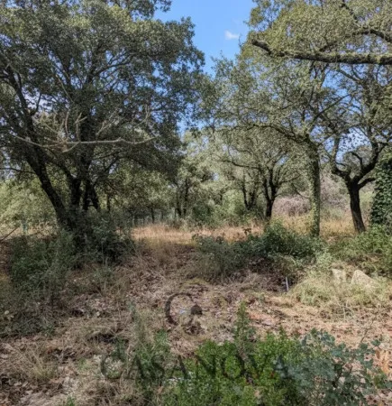 Terrain 2559 m² 