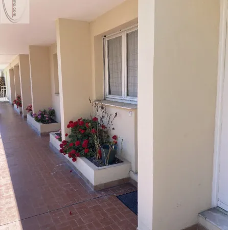 Studio 1 pièce 14 m² 