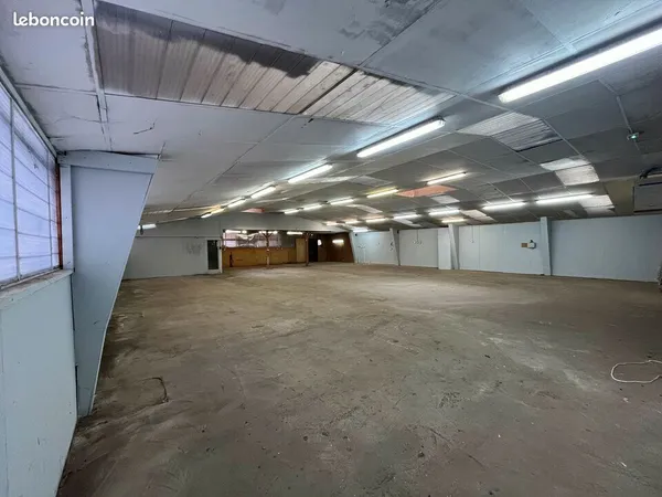 Local d'activité 390 m² 