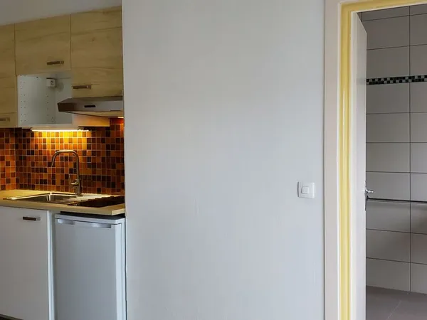 Appartement Location Strasbourg 1p 19m² 500€
